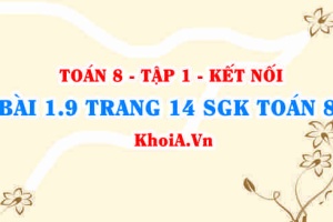 Bài 1.9 trang 14 SGK Toán 8 tập 1 Kết nối tri thức